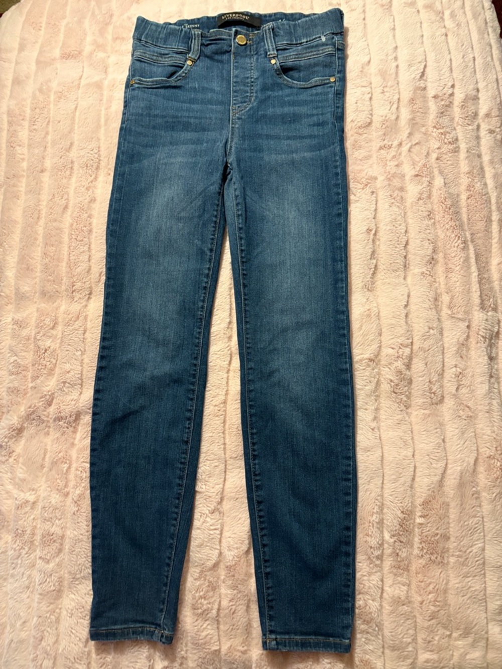 Liverpool Jeans Company Skinny Jeans in Dark Blue Wash